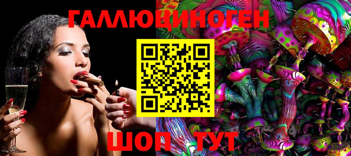 Старый Оскол  Галлюциногенные грибы Cubensis  Вход с VPN 